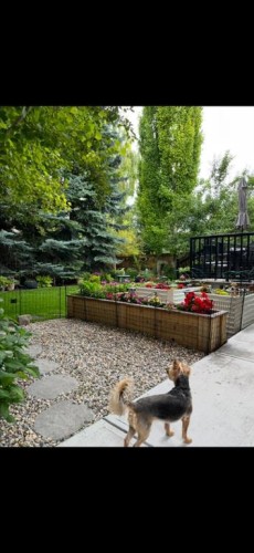 188 Millrise Drive Sw, Calgary, AB - Outdoor