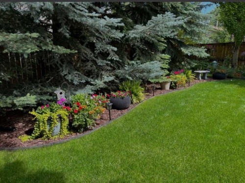 188 Millrise Drive Sw, Calgary, AB - Outdoor