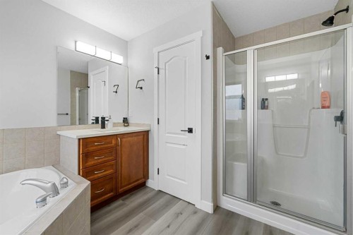 280 Windermere Drive, Chestermere, AB - Indoor Photo Showing Bathroom
