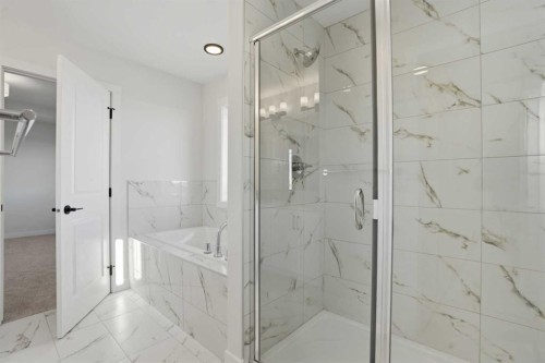 117 Clearwater Terrace, Chestermere, AB - Indoor Photo Showing Bathroom