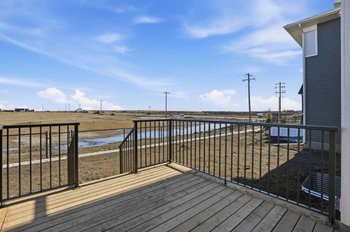 117 Clearwater Terrace, Chestermere, AB - Outdoor