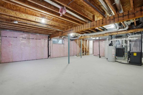 117 Clearwater Terrace, Chestermere, AB - Indoor Photo Showing Basement