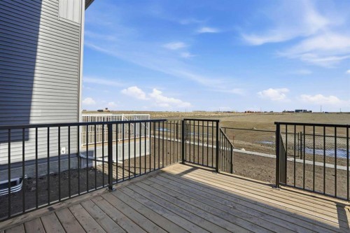 117 Clearwater Terrace, Chestermere, AB - Outdoor