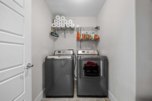 184 Magenta Crescent, Chestermere, AB - Indoor Photo Showing Laundry Room