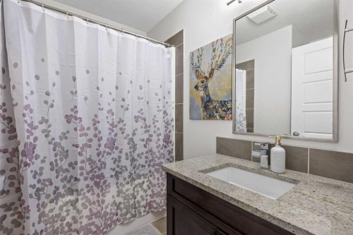 184 Magenta Crescent, Chestermere, AB - Indoor Photo Showing Bathroom