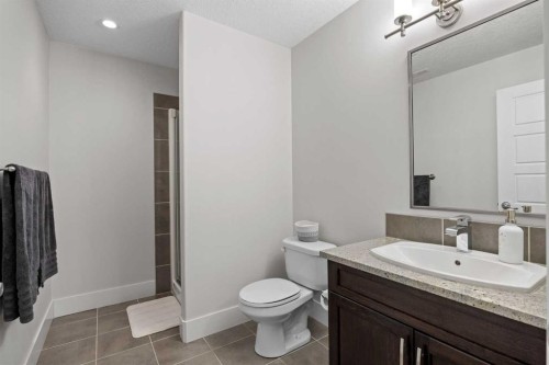 184 Magenta Crescent, Chestermere, AB - Indoor Photo Showing Bathroom