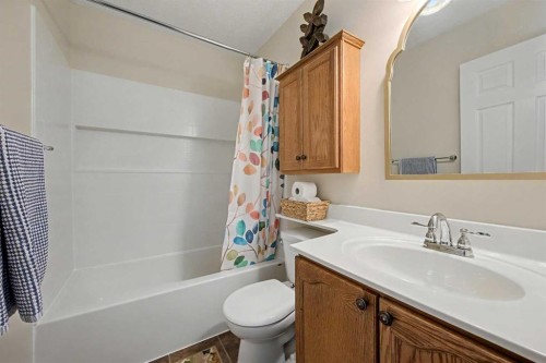 48 Harvest Park Road Ne, Calgary, AB - Indoor Photo Showing Bathroom