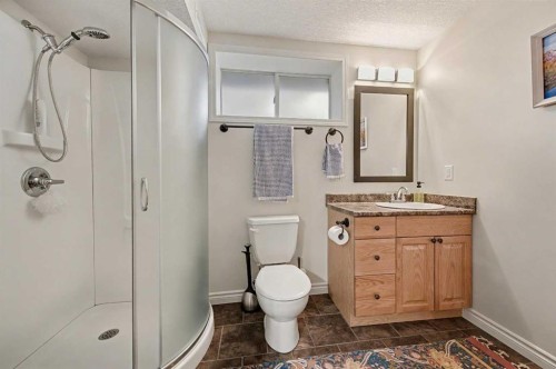 48 Harvest Park Road Ne, Calgary, AB - Indoor Photo Showing Bathroom