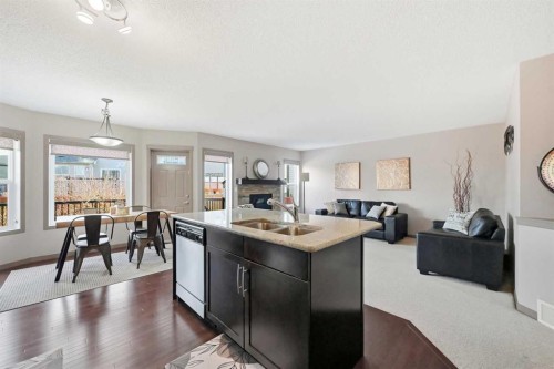 28 Skyview Shores Terrace Ne, Calgary, AB - Indoor Photo Showing Kitchen With Double Sink