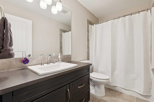 137 Sage Meadows Circle Nw, Calgary, AB - Indoor Photo Showing Bathroom