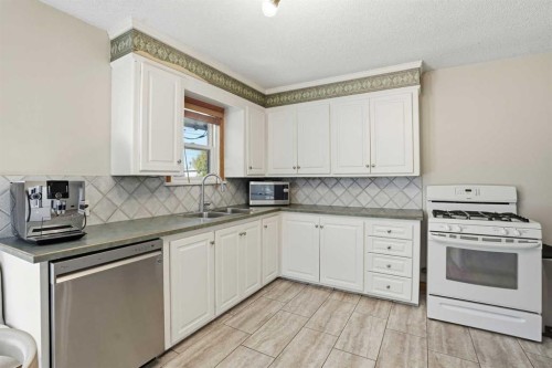 3003 25 Street Sw, Calgary, AB - Indoor Photo Showing Kitchen With Double Sink