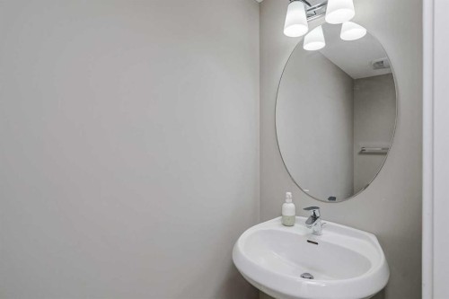108 Redstone View Ne, Calgary, AB - Indoor Photo Showing Bathroom