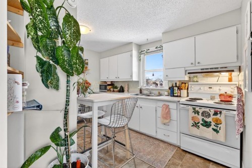1004 20 Avenue Se, Calgary, AB - Indoor Photo Showing Kitchen With Double Sink