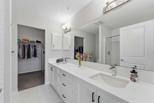 211-4150 Seton Drive Se, Calgary, AB - Indoor Photo Showing Bathroom