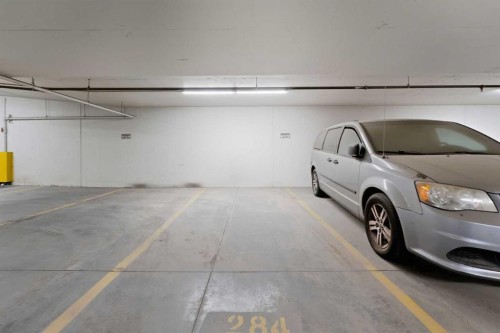 211-4150 Seton Drive Se, Calgary, AB - Indoor Photo Showing Garage