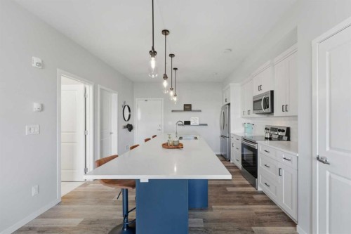 211-4150 Seton Drive Se, Calgary, AB - Indoor Photo Showing Kitchen