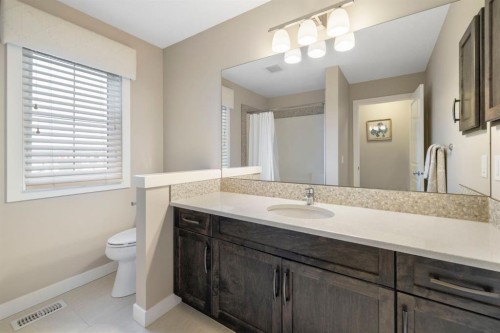 8 Emberside Glen, Cochrane, AB - Indoor Photo Showing Bathroom