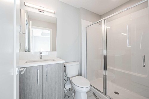 129 Dawson Wharf View, Chestermere, AB - Indoor Photo Showing Bathroom