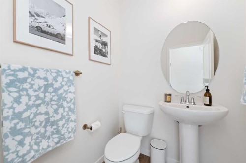 108 Masters Heights Se, Calgary, AB - Indoor Photo Showing Bathroom