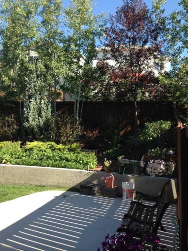 20 Tuscany Ridge Crescent Nw, Calgary, AB - Outdoor