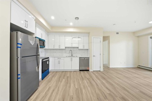 2313-15 Skyview Point Crescent Ne, Calgary, AB - Indoor Photo Showing Kitchen With Stainless Steel Kitchen With Upgraded Kitchen