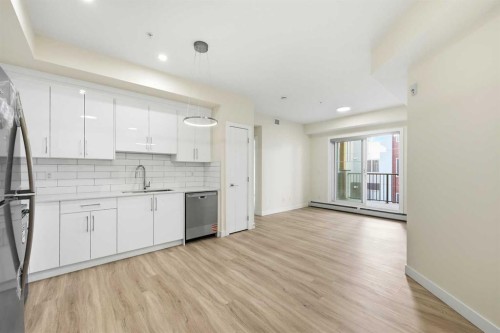 2313-15 Skyview Point Crescent Ne, Calgary, AB - Indoor Photo Showing Kitchen With Upgraded Kitchen