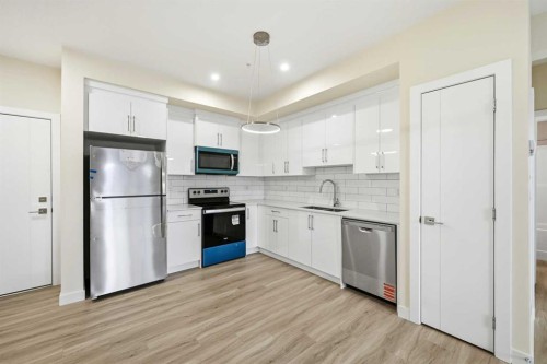 2313-15 Skyview Point Crescent Ne, Calgary, AB - Indoor Photo Showing Kitchen With Stainless Steel Kitchen With Upgraded Kitchen