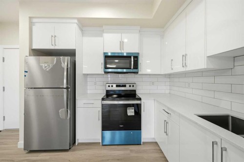 2313-15 Skyview Point Crescent Ne, Calgary, AB - Indoor Photo Showing Kitchen With Stainless Steel Kitchen With Upgraded Kitchen