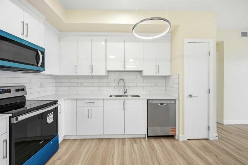 2313-15 Skyview Point Crescent Ne, Calgary, AB - Indoor Photo Showing Kitchen With Upgraded Kitchen