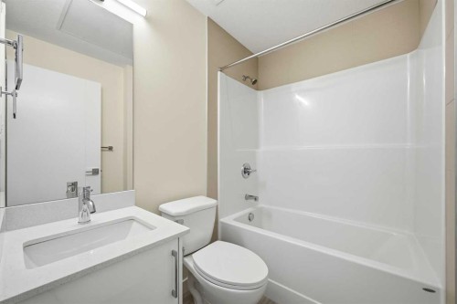 2313-15 Skyview Point Crescent Ne, Calgary, AB - Indoor Photo Showing Bathroom