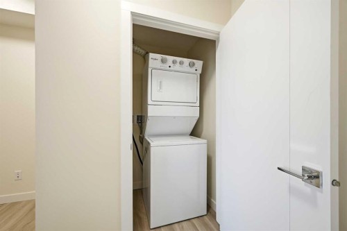 2313-15 Skyview Point Crescent Ne, Calgary, AB - Indoor Photo Showing Laundry Room