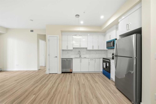 2314-15 Skyview Point Crescent Ne, Calgary, AB - Indoor Photo Showing Kitchen With Stainless Steel Kitchen With Upgraded Kitchen