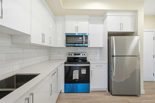 2314-15 Skyview Point Crescent Ne, Calgary, AB - Indoor Photo Showing Kitchen With Stainless Steel Kitchen With Upgraded Kitchen