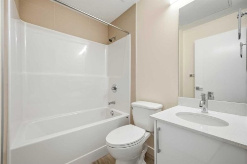2314-15 Skyview Point Crescent Ne, Calgary, AB - Indoor Photo Showing Bathroom