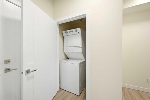 2314-15 Skyview Point Crescent Ne, Calgary, AB - Indoor Photo Showing Laundry Room