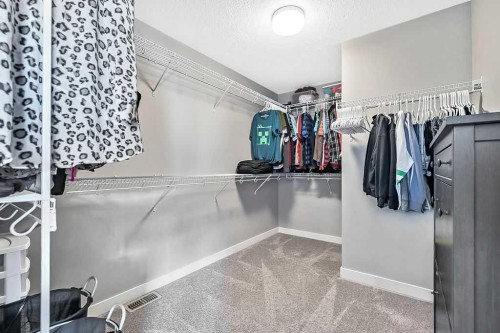 94 Cimarron Springs Circle, Okotoks, AB - Indoor With Storage