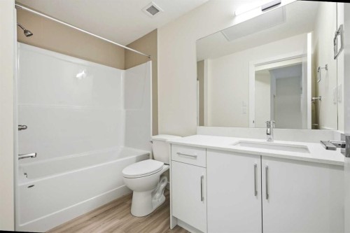 2215-15 Skyview Point Crescent Ne, Calgary, AB - Indoor Photo Showing Bathroom