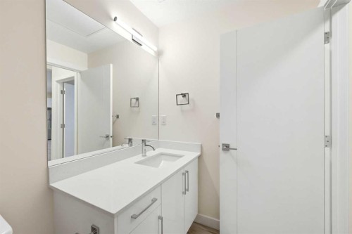 2215-15 Skyview Point Crescent Ne, Calgary, AB - Indoor Photo Showing Bathroom