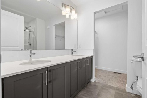 229-65 Belvedere Point Se, Calgary, AB - Indoor Photo Showing Bathroom