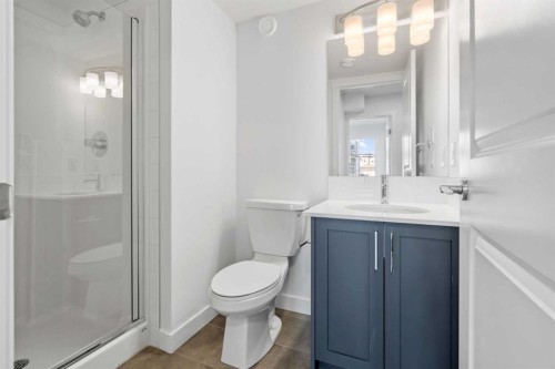 229-65 Belvedere Point Se, Calgary, AB - Indoor Photo Showing Bathroom