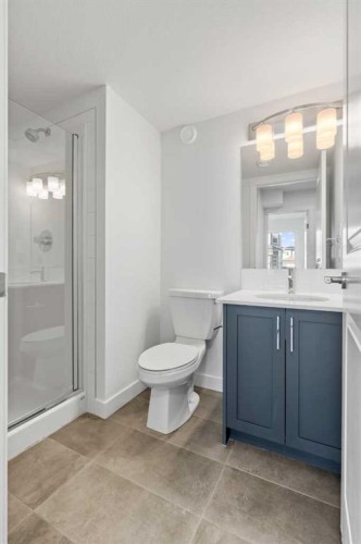 229-65 Belvedere Point Se, Calgary, AB - Indoor Photo Showing Bathroom