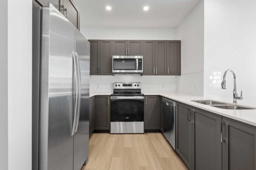 229-65 Belvedere Point Se, Calgary, AB - Indoor Photo Showing Kitchen With Stainless Steel Kitchen With Double Sink With Upgraded Kitchen