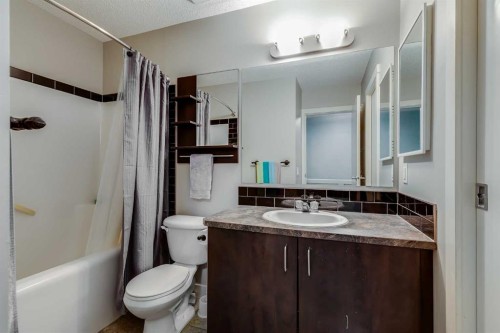 306-2445 Kingsland Road Se, Airdrie, AB - Indoor Photo Showing Bathroom