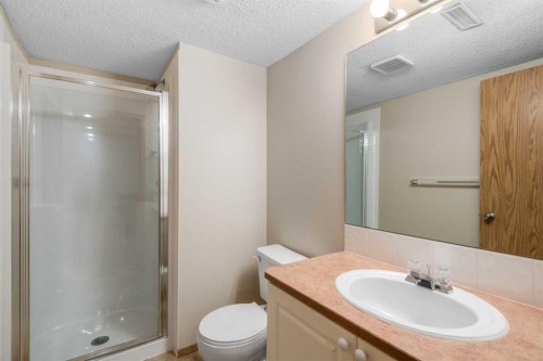 115 Chaparral Point Se, Calgary, AB - Indoor Photo Showing Bathroom