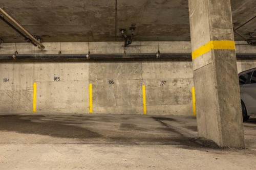 4211-13045 6 Street Sw, Calgary, AB - Indoor Photo Showing Garage