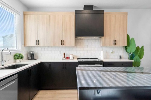 313 Ambleton Drive Nw, Calgary, AB - Indoor Photo Showing Kitchen With Upgraded Kitchen