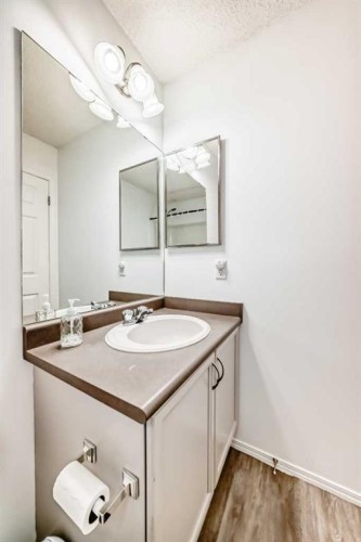 294 Elgin View Se, Calgary, AB - Indoor Photo Showing Bathroom