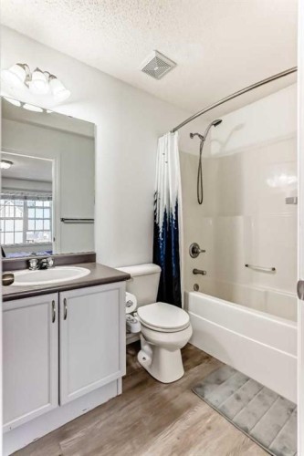 294 Elgin View Se, Calgary, AB - Indoor Photo Showing Bathroom