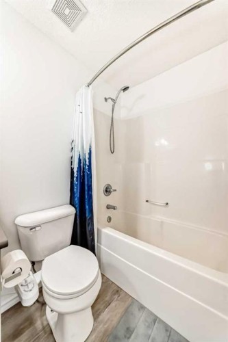 294 Elgin View Se, Calgary, AB - Indoor Photo Showing Bathroom