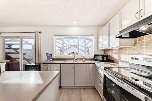 294 Elgin View Se, Calgary, AB - Indoor Photo Showing Kitchen With Double Sink